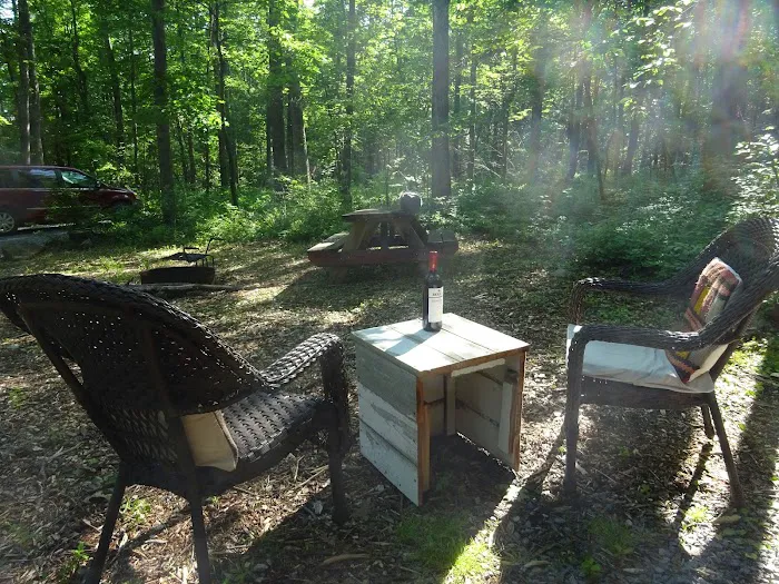 Wild Yough Glamping Huts 5