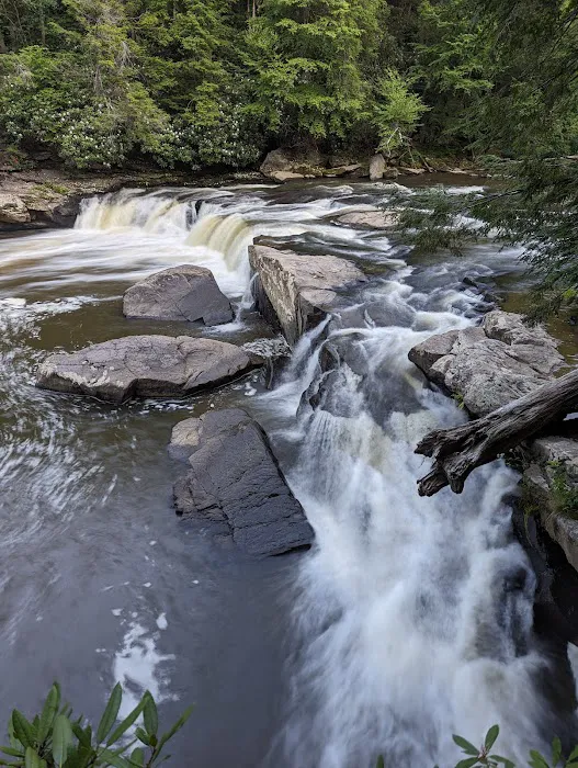 Swallow Falls Campground 3