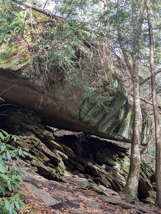 Swallow Falls Campground 9