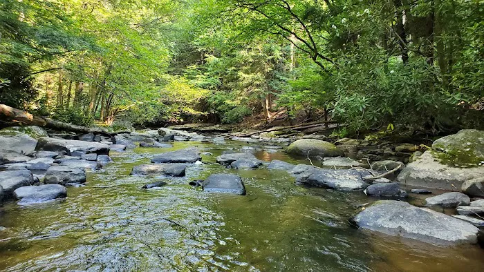 Swallow Falls Campground 5