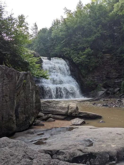 Swallow Falls Campground 6