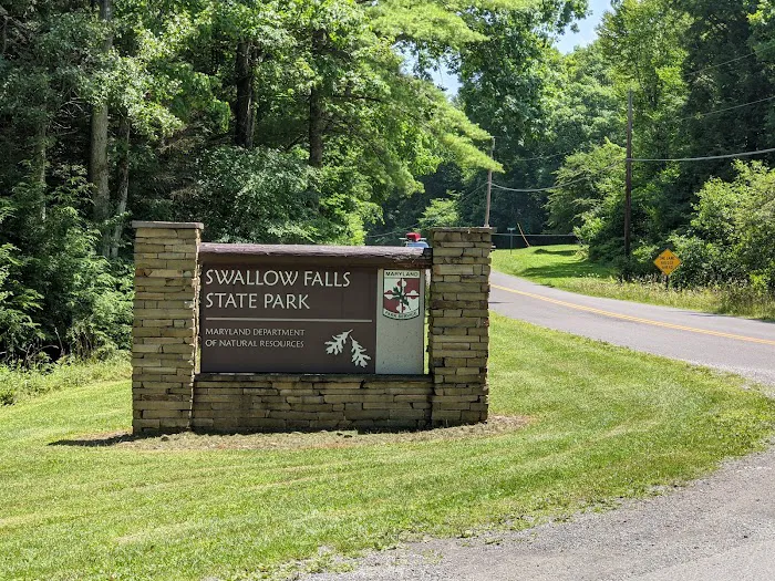 Swallow Falls Campground 10