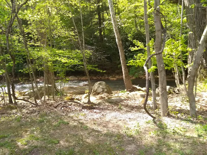 Cheat Canyon Campground 8
