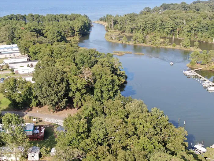 Bush Park Camping Resort 5