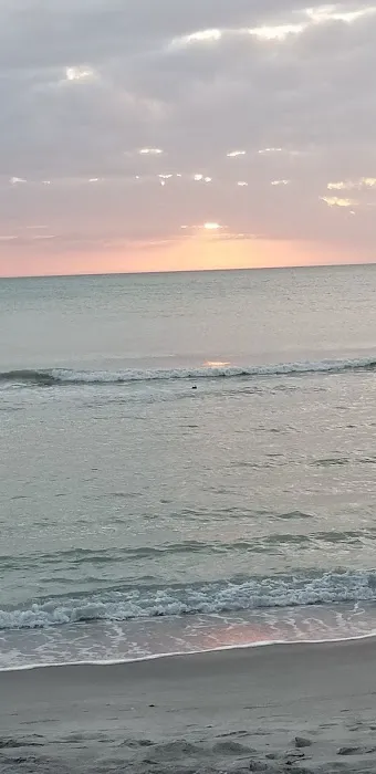 Twin Shores Inc 8