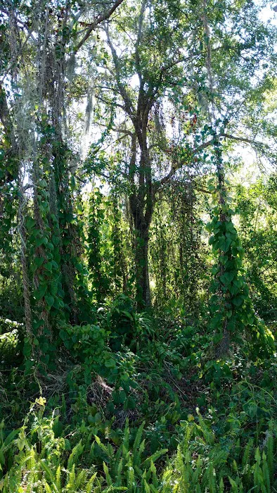 Royal Palms Mobile Home Park 7