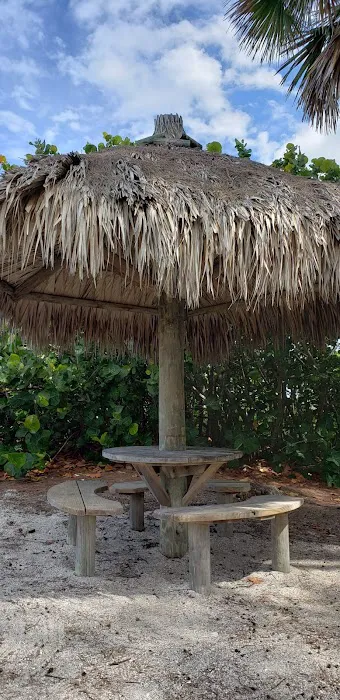 Turtle Beach Campground 3