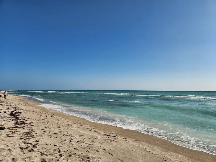 Turtle Beach Campground 6