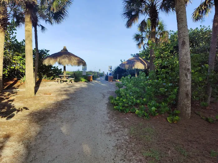 Turtle Beach Campground 7