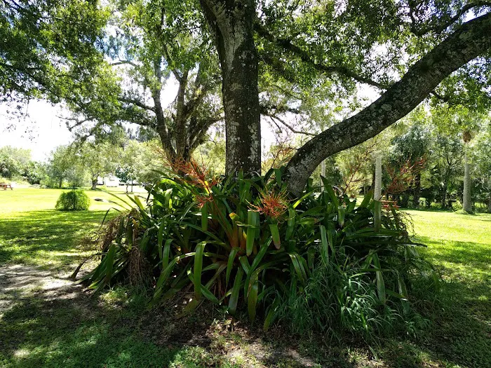 Sunnier Palms Nudist Park and Campground 4