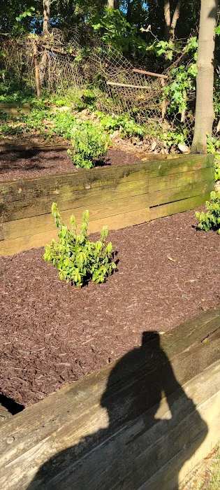 Elm Farm Park 2