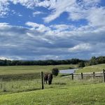 Greenville Farm Family Campground, Inc.