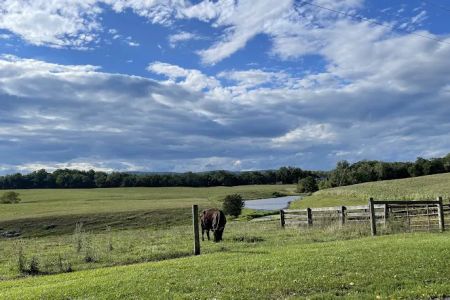 Greenville Farm Family Campground, Inc.