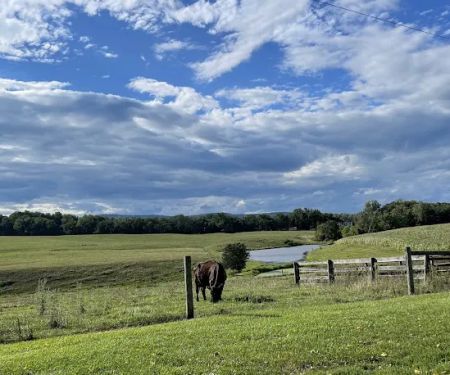 Greenville Farm Family Campground, Inc.