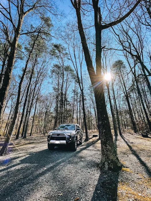 Bull Run Campground 8