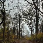 Blue Ridge Regional Park