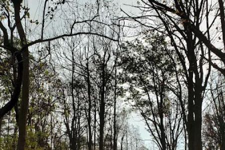 Blue Ridge Regional Park