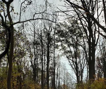 Blue Ridge Regional Park