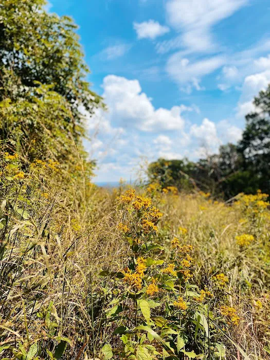 Blue Ridge Regional Park 5