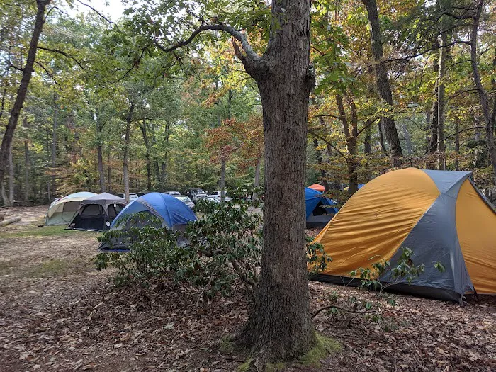 Camp Wilson 2