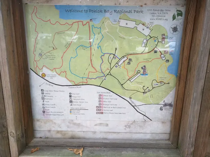 Camp Wilson 5