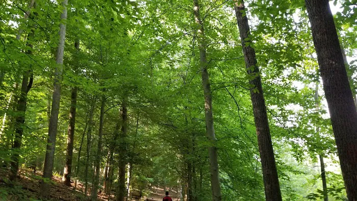 Camp Wilson 10