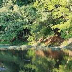 Eagle's Nest Campground