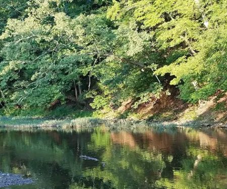 Eagle's Nest Campground