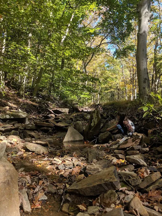 Dan's Mountain Campground 3
