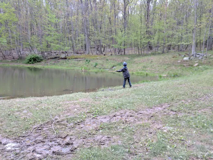 Dan's Mountain Campground 7