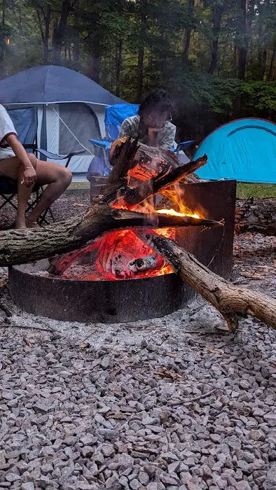 Dan's Mountain Campground 8