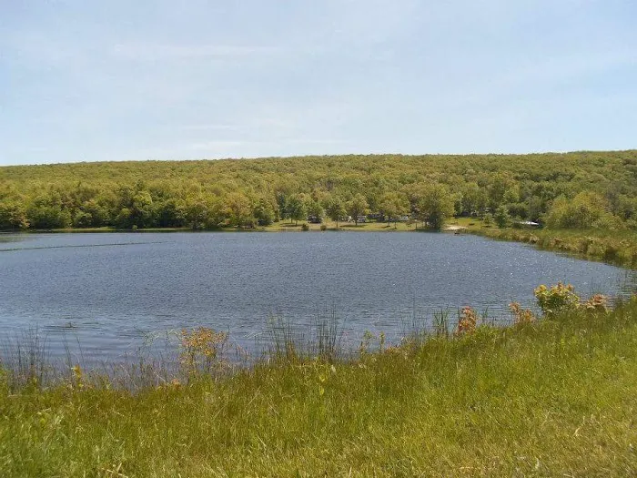 Little Brown Lake Campground 6