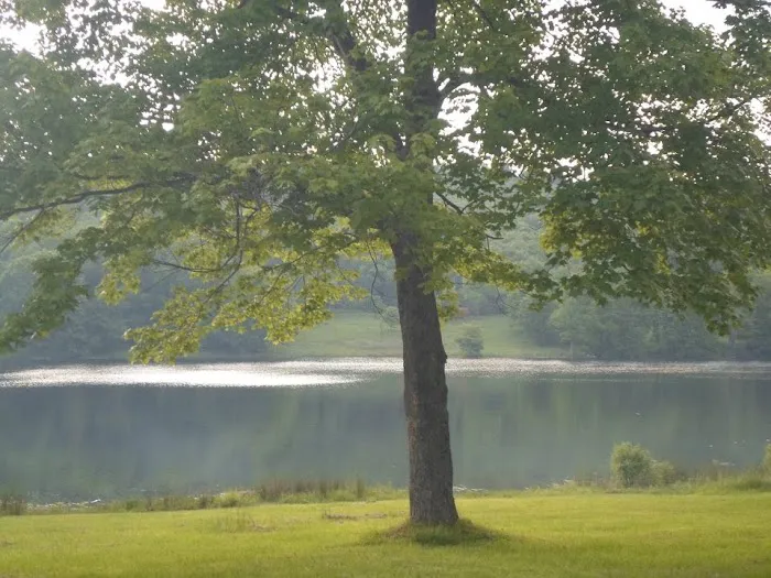 Little Brown Lake Campground 10
