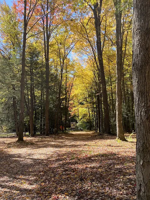Sleepy Hollow Campground 5