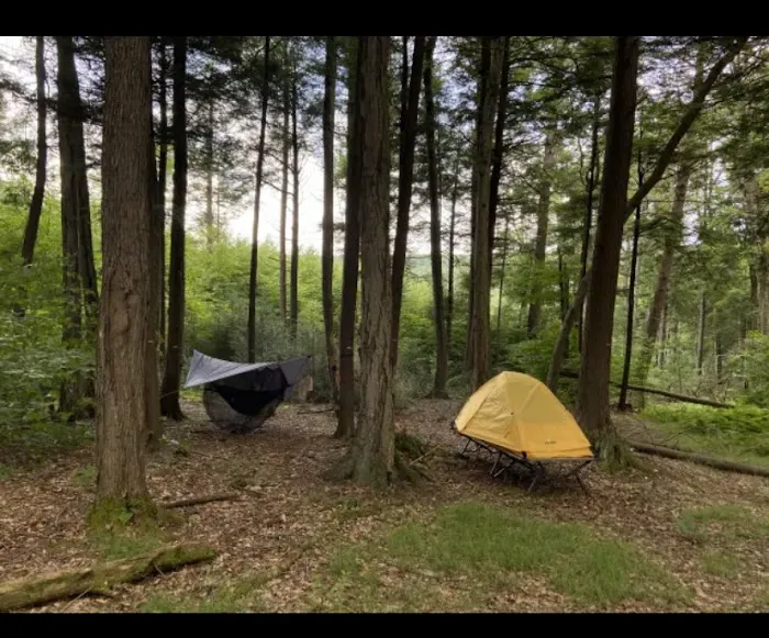 Sleepy Hollow Campground 6