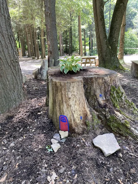 Sleepy Hollow Campground 7
