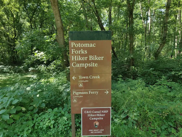 Potomac Forks Campsite 6