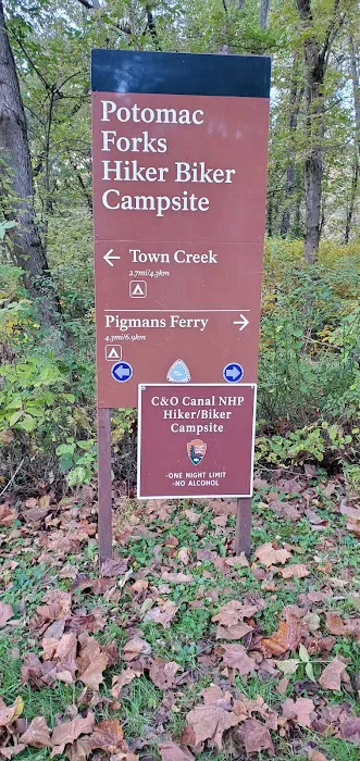 Potomac Forks Campsite 4