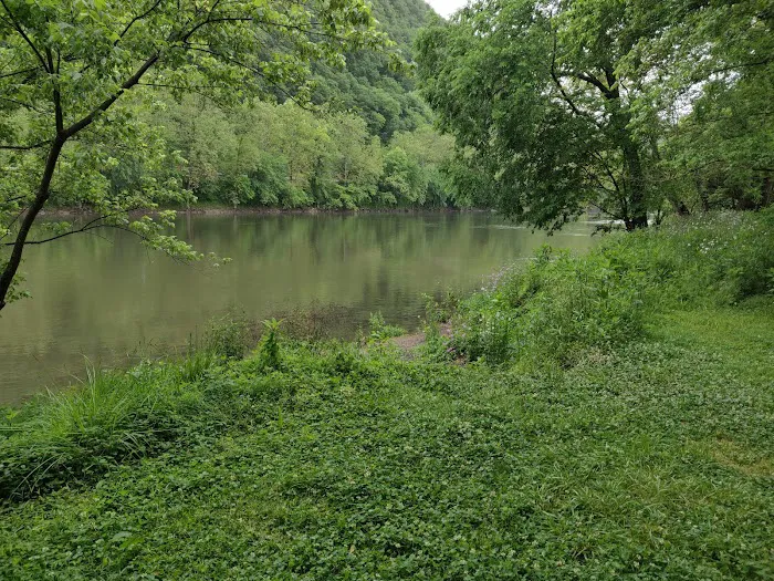 Town Creek Campsite 3
