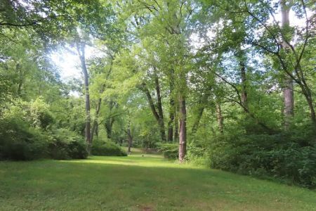 Town Creek Campsite