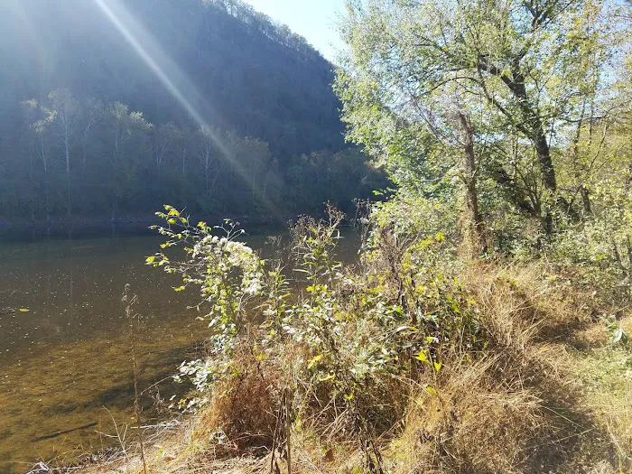 Town Creek Campsite 9