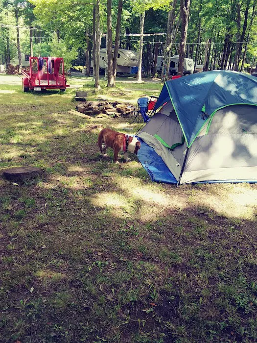 Pine Hill Campground 4