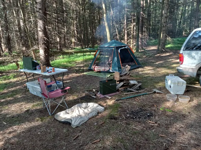 Pine Hill Campground 5