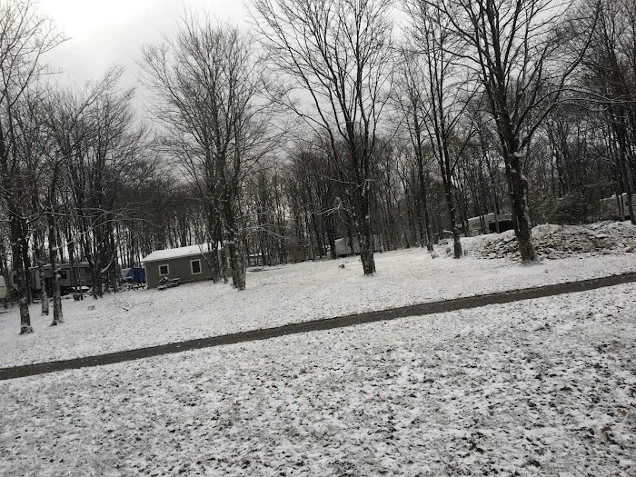 Pine Hill Campground 9