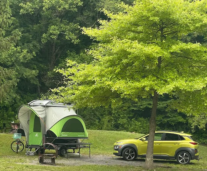 Yough Lake Campground 3