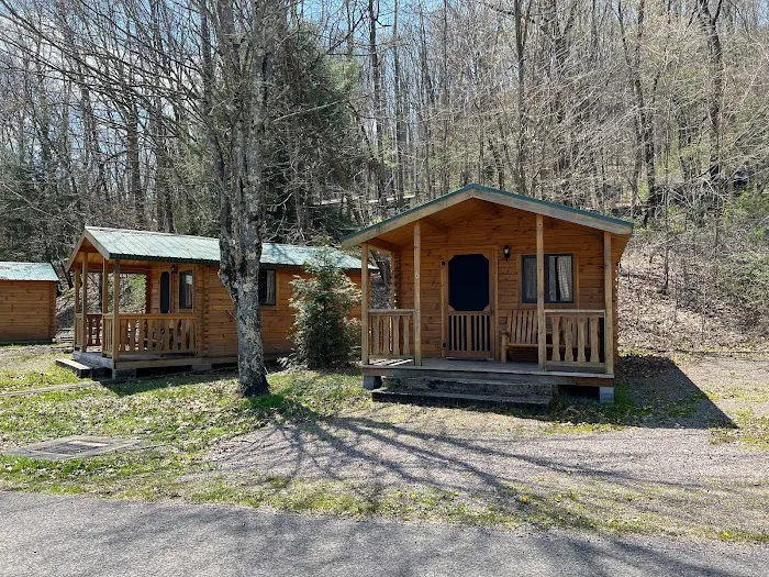 Yough Lake Campground 1