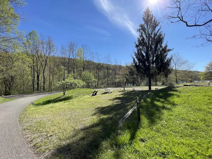 Yough Lake Campground 7