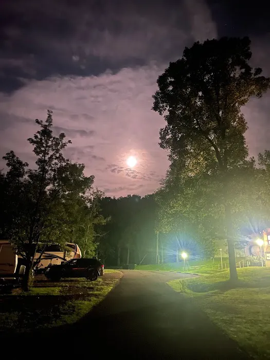 Yough Lake Campground 6