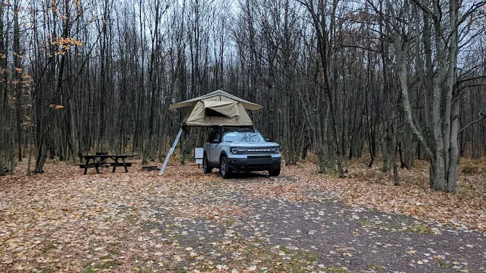 Forbes State Forest Motorized Site 6 3