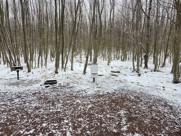 Forbes State Forest Motorized Site 6 2